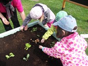 Zahradničíme ve školce